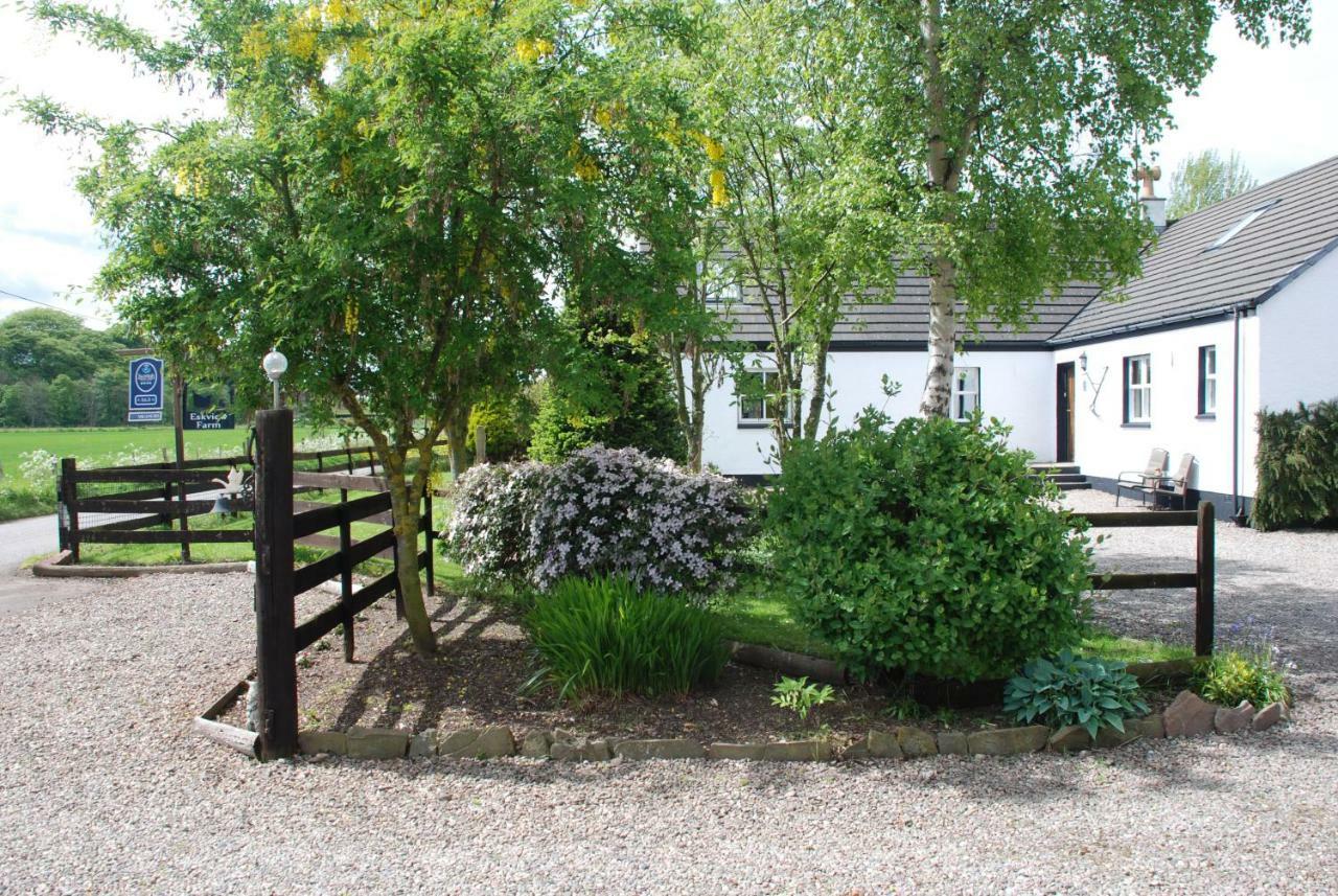 Eskview Farm Bed & Breakfast Montrose Exterior photo